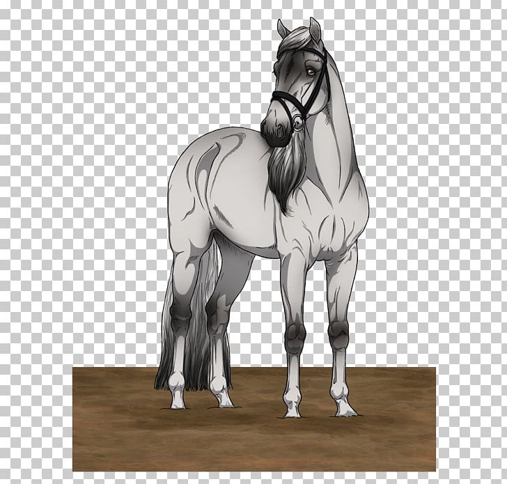 Mare Stallion Bridle English Riding Pony PNG, Clipart, Bridle, English Riding, Equestrian, Equestrianism, Equestrian Sport Free PNG Download
