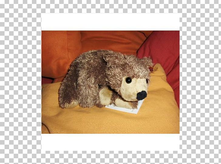 Marsupial Fauna Stuffed Animals & Cuddly Toys Snout PNG, Clipart, Fauna, Fur, Golden Retreiver, Marsupial, Others Free PNG Download