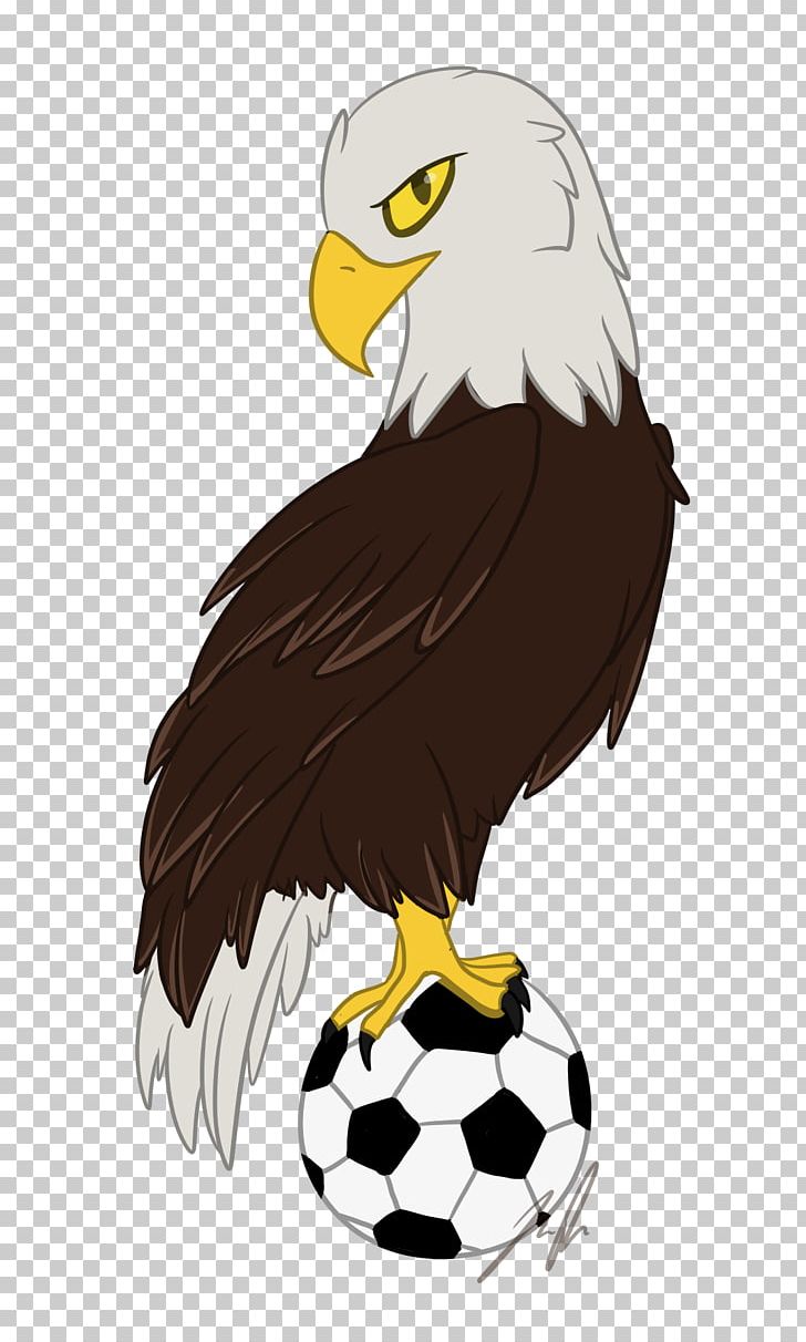 Bald Eagle Beak Animated Cartoon PNG, Clipart, Accipitriformes, Animals, Animated Cartoon, Bald Eagle, Beak Free PNG Download