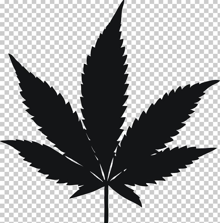 Cannabis Drawing Hemp PNG, Clipart, Black And White, Cannabis, Cannabis Smoking, Drawing, Drug Free PNG Download