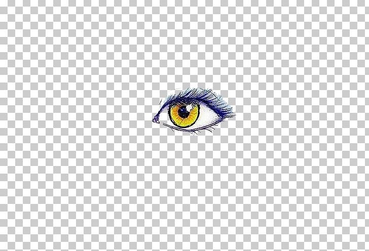 Eye Light PNG, Clipart, Anime Eyes, Beak, Blue Eyes, Cartoon Eyes, Computer Wallpaper Free PNG Download