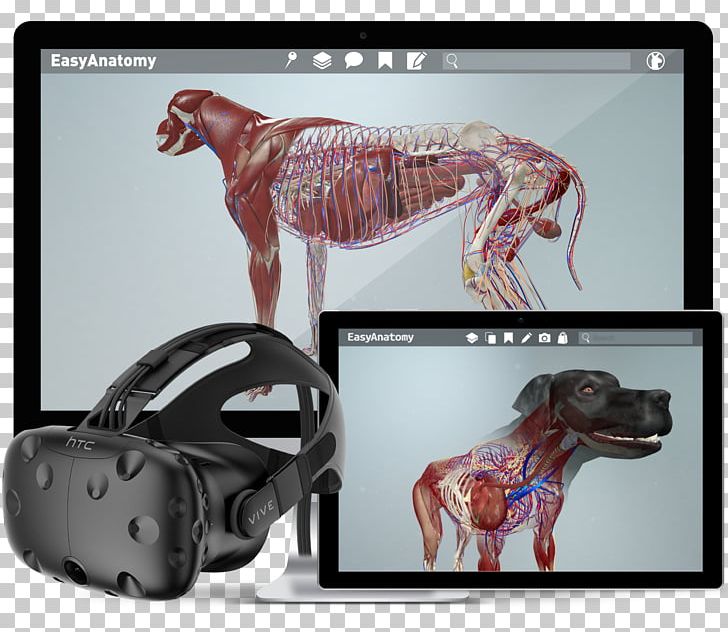 HTC Vive Oculus Rift Virtual Reality Augmented Reality Dog Anatomy PNG, Clipart, Anatomia Animal, Anatomy, Augmented Reality, Brand, Dog Free PNG Download