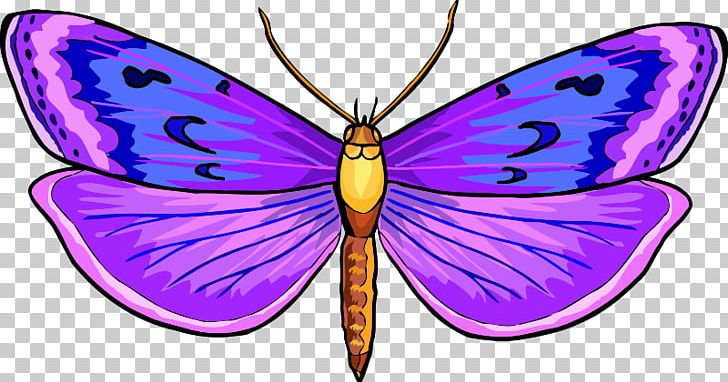 Monarch Butterfly Pieridae PNG, Clipart, Arthropod, Brush Footed Butterfly, Butterfly, Clip, Computer Graphics Free PNG Download