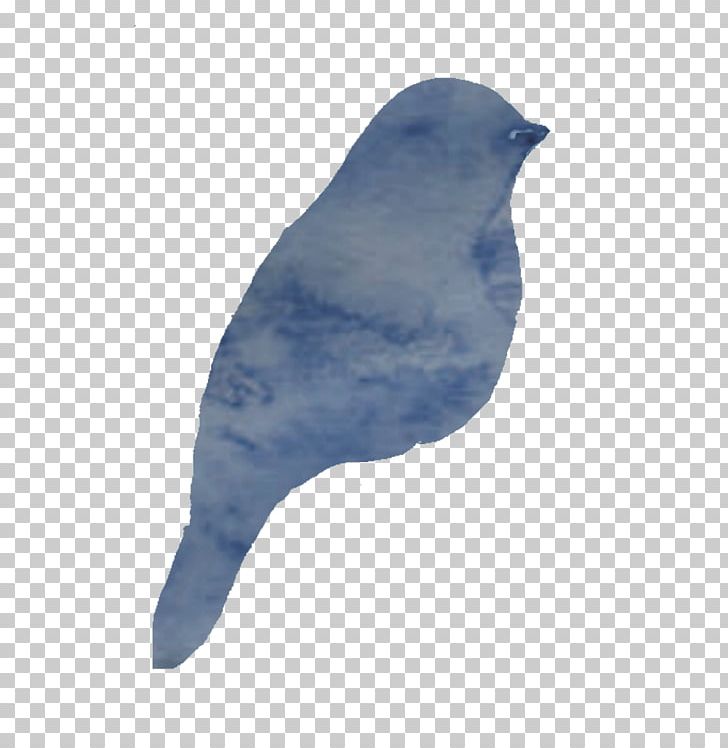 American Sparrows Cobalt Blue Beak Feather PNG, Clipart, American Sparrows, Animals, Beak, Bird, Blue Free PNG Download