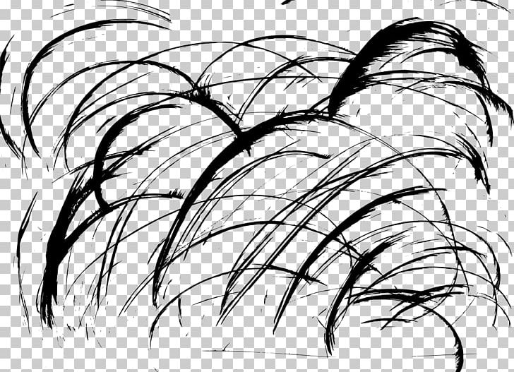 Grunge Drawing Visual Arts PNG, Clipart, Art, Artwork, Black And White, Branch, Drawing Free PNG Download