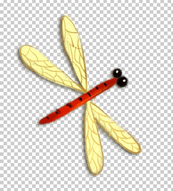 Insect Dragonfly PNG, Clipart, Adobe Illustrator, Cartoon, Designer, Download, Dragonflies Free PNG Download