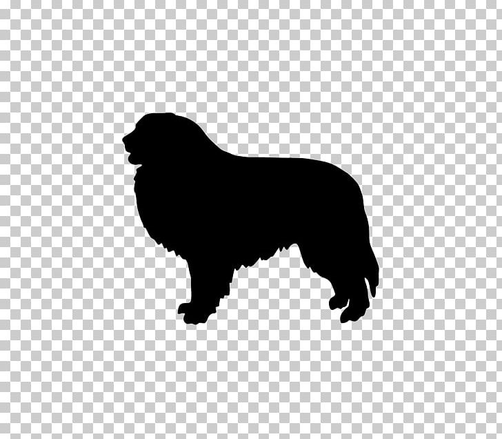 Newfoundland Dog Great Pyrenees Pyrenean Mastiff Dog Breed Hovawart PNG, Clipart, Animals, Australian Cattle Dog, Black, Black And White, Breed Free PNG Download