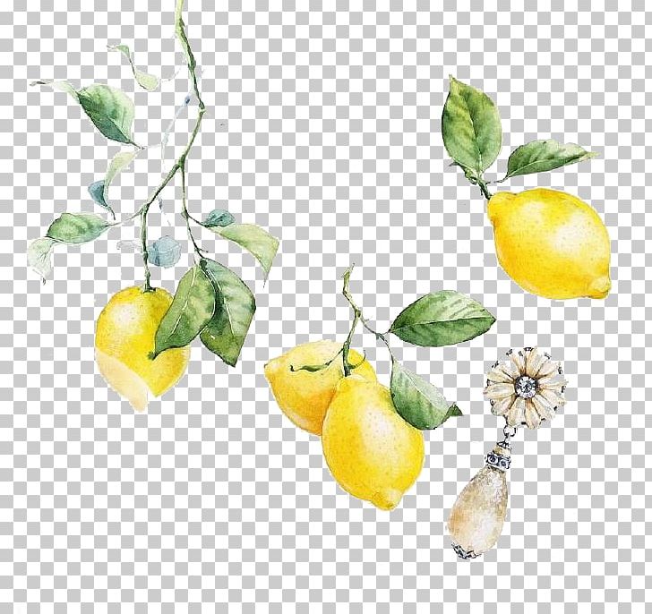 Visual Arts Lemon Watercolor Painting Illustration PNG, Clipart, Art, Citrus, Food, Fruit, Fruit Nut Free PNG Download