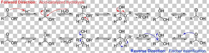 Esterification Hydrolysis Chemical Reaction Saponification PNG, Clipart, Acetate, Acid Catalysis, Angle, Aspirin, Blue Free PNG Download
