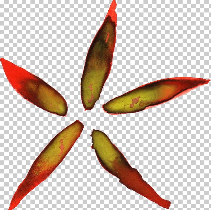 Thepix Flower PNG, Clipart, Color, Flower, Leaf, Nature, Petal Free PNG Download
