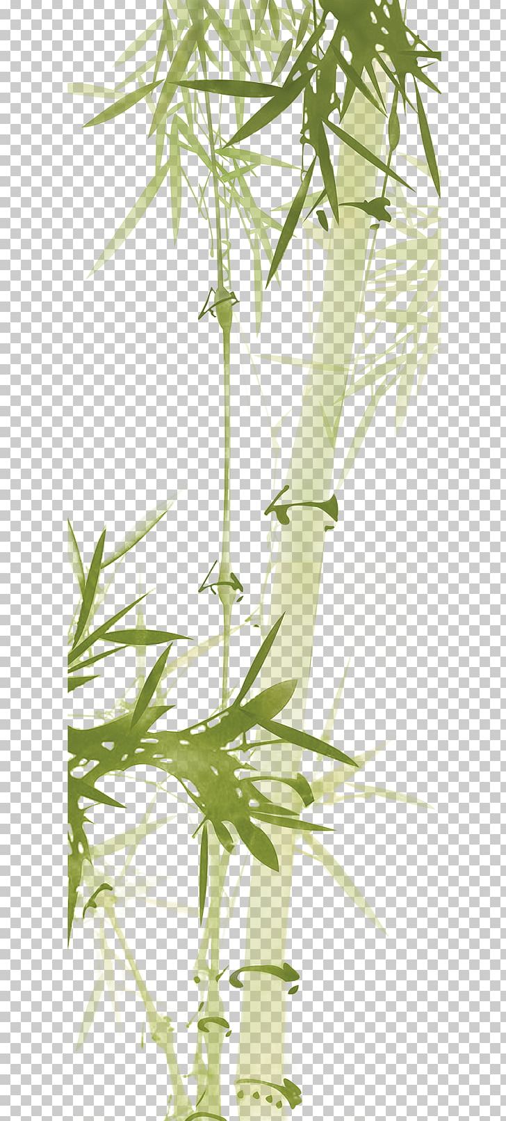 Bamboo Paper Computer File PNG, Clipart, Background Green, Bamboe, Bamboo, Branch, Download Free PNG Download