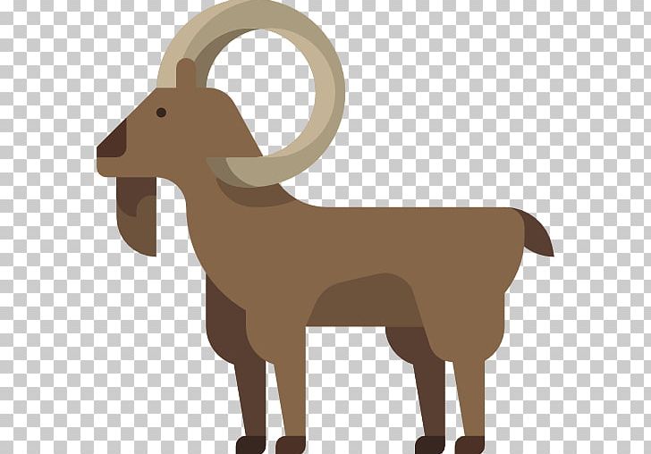 Goats Sheepu2013goat Hybrid Cattle PNG, Clipart, Animal, Animals, Caprinae, Cartoon Goat, Cattle Like Mammal Free PNG Download