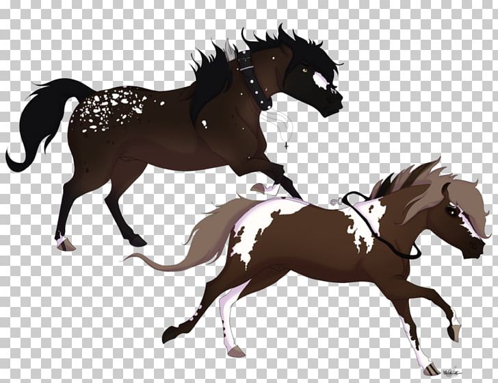 Horse Stallion Foal Pony Equestrian PNG, Clipart, Animals, Bit, Bridle, Colt, English Riding Free PNG Download