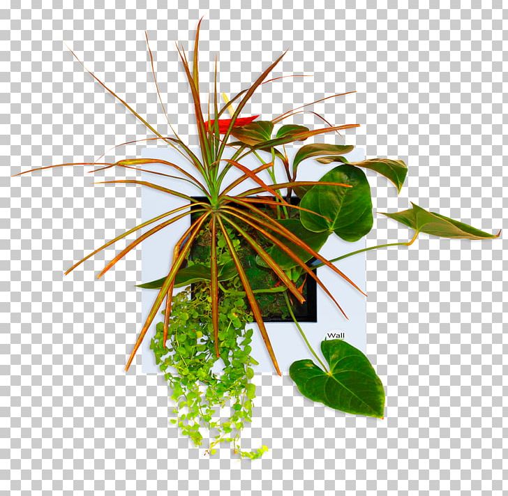Leaf Flowerpot Houseplant Plant Stem PNG, Clipart, Flora, Flower, Flowerpot, Houseplant, Leaf Free PNG Download