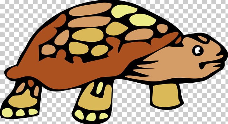 Turtle Tortoise PNG, Clipart, Animal Figure, Animals, Artwork, Blog, Carnivoran Free PNG Download