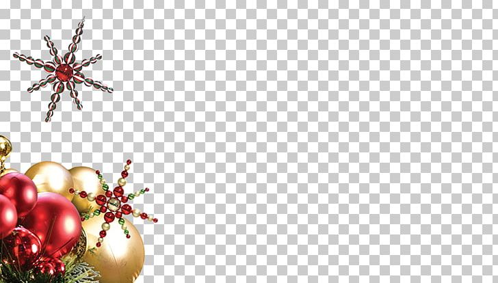 Christmas Tree Christmas Ornament Barcana Christmas Decoration PNG, Clipart, Branch, Christmas, Christmas Decoration, Christmas Lights, Christmas Ornament Free PNG Download