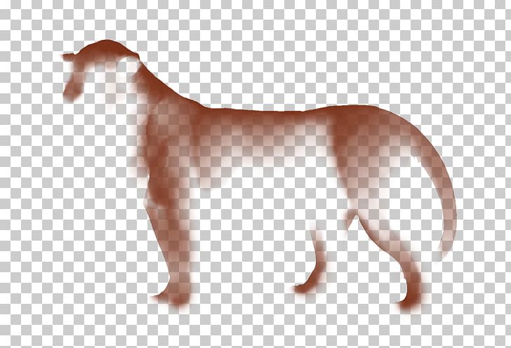 Dog Breed Italian Greyhound Puppy Cat PNG, Clipart, Animals, Breed, Carnivoran, Cat, Cat Like Mammal Free PNG Download