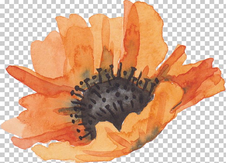 Flower Watercolor Painting PNG, Clipart, Cartoon, Color, Download, Flower, Flower Pattern Free PNG Download