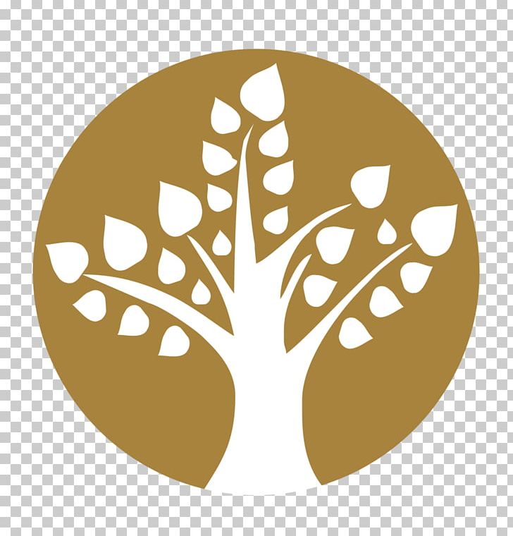 Peepal Tree Early Childhood Education Ficus Religiosa Buderim PNG, Clipart, Arborist, Bodhi, Buderim, Child, Circle Free PNG Download