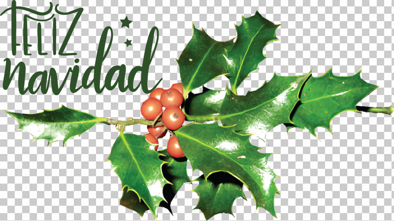 Feliz Navidad Merry Christmas PNG, Clipart, Aquifoliales, Branch, Chicken, Chicken Coop, Feliz Navidad Free PNG Download