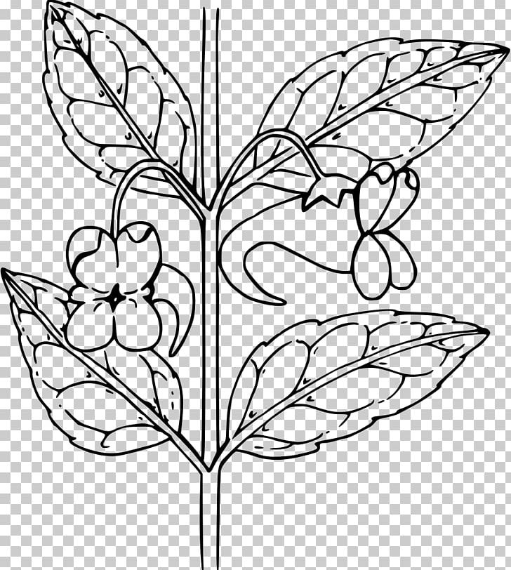 Brush-footed Butterflies Floral Design Flower Spotted Touch-me-not PNG, Clipart, Angle, Area, Branch, Brush Footed Butterfly, Fictional Character Free PNG Download
