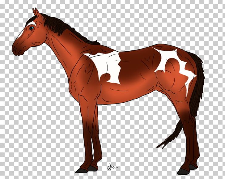 Mane Mustang Stallion Mare Rein PNG, Clipart, Bridle, Colt, Dog Harness, Halter, Horse Free PNG Download