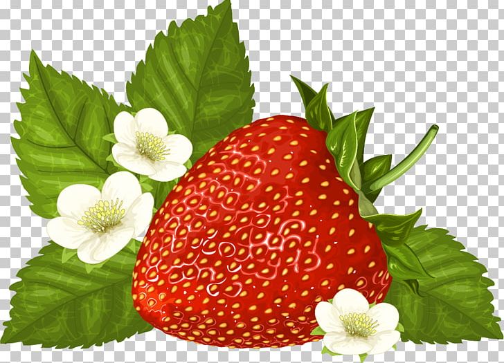 Graphics Illustration PNG, Clipart, Berries, Diet Food, Drawing, Encapsulated Postscript, Food Free PNG Download