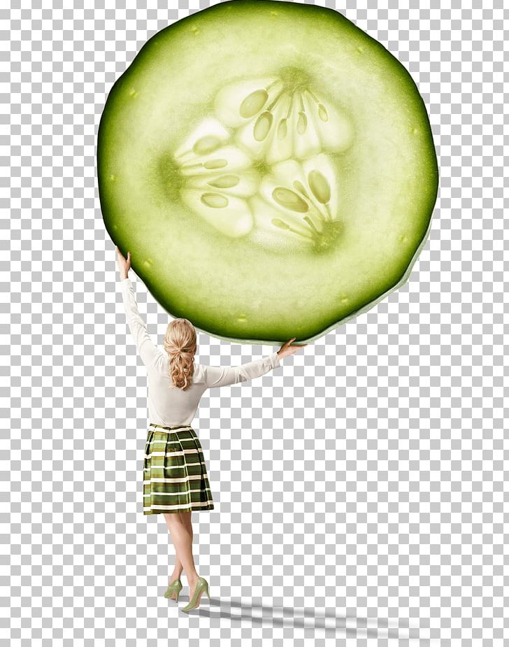 Cucumber Vegetable Cucurbitaceae Melon PNG, Clipart, Cucumber, Cucumber Gourd And Melon Family, Cucumis, Cucurbitaceae, Food Free PNG Download
