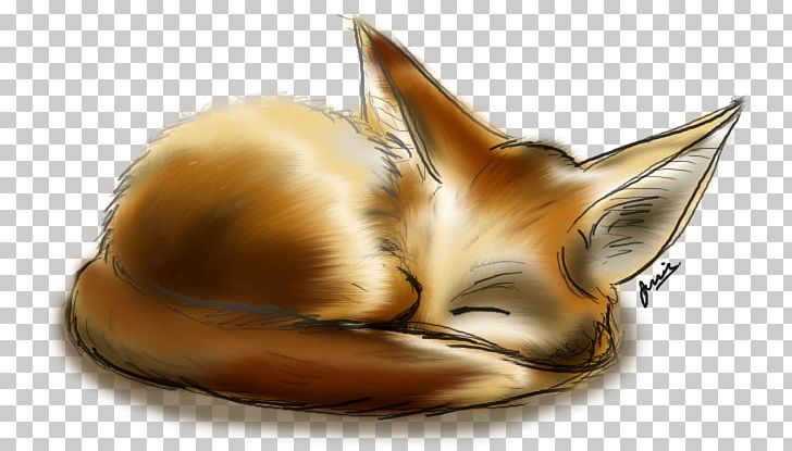 Fennec Fox Drawing Art PNG, Clipart, Animal, Animals, Art, Carnivoran, Deviantart Free PNG Download