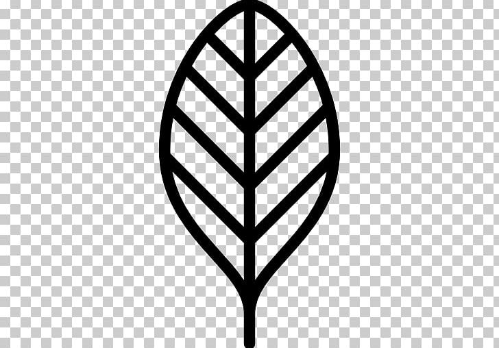 Leaf Tea PNG, Clipart, Angle, Black And White, Circle, Color, Computer Icons Free PNG Download