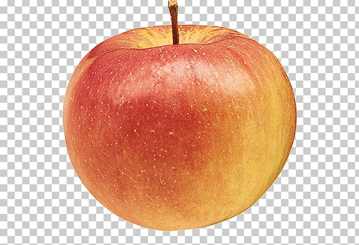 Northern Spy Apple Pie Yates Cider Mill Jonagold PNG, Clipart, Apple, Apple Pie, Apples, Cider, Cider Mill Free PNG Download