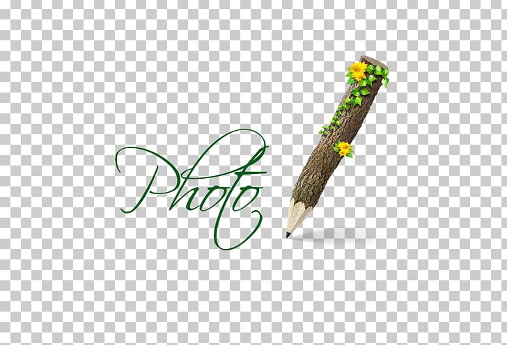 Pencil Logo Wood PNG, Clipart, Adobe Illustrator, Album, Baby, Baby Album Fonts, Brand Free PNG Download