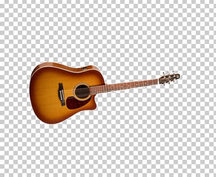 Acoustic Guitar Musical Instruments String Instruments Plucked String Instrument PNG, Clipart, Acoustic Electric Guitar, Acoustic Guitar, Cuatro, Epiphone, Guitar Accessory Free PNG Download
