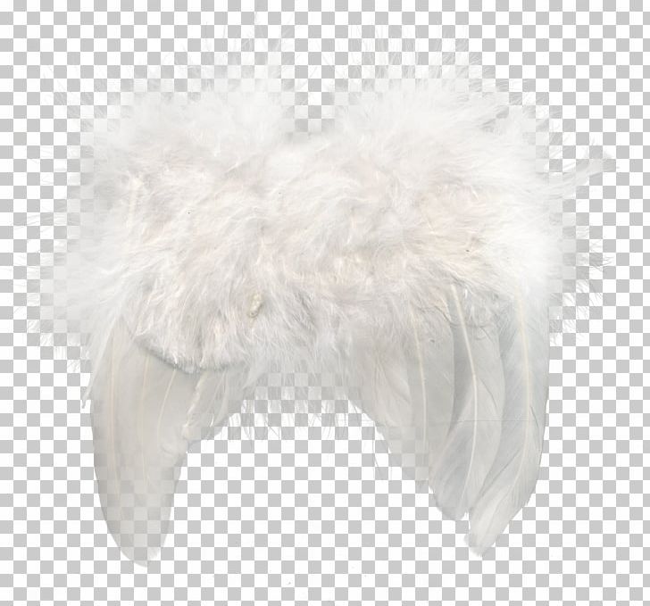 Fur Feather Snout PNG, Clipart, Animals, Background White, Black White, Decoration, Feather Free PNG Download