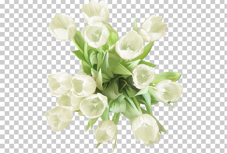 Garden Roses Carnation Flower White PNG, Clipart, April, Artificial Flower, Carnation, Color, Cut Flowers Free PNG Download