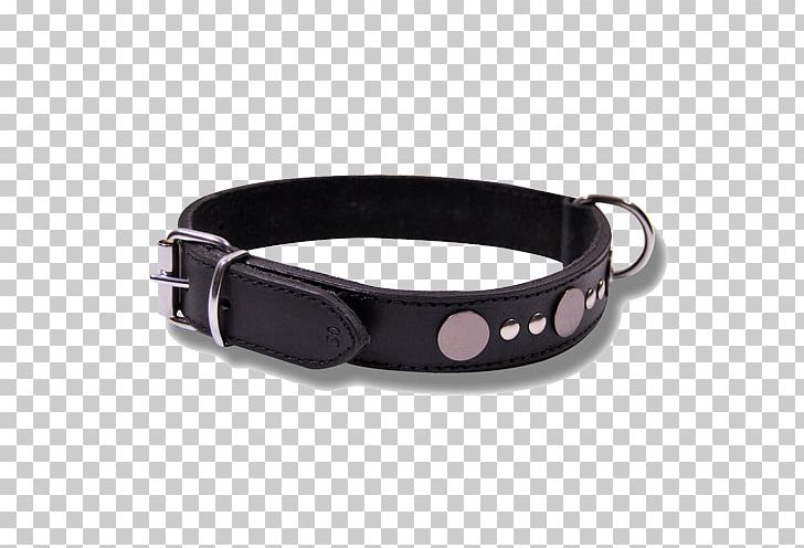 Belt Buckles Dog Collar PNG, Clipart, Animals, Belt, Belt Buckle, Belt Buckles, Buckle Free PNG Download