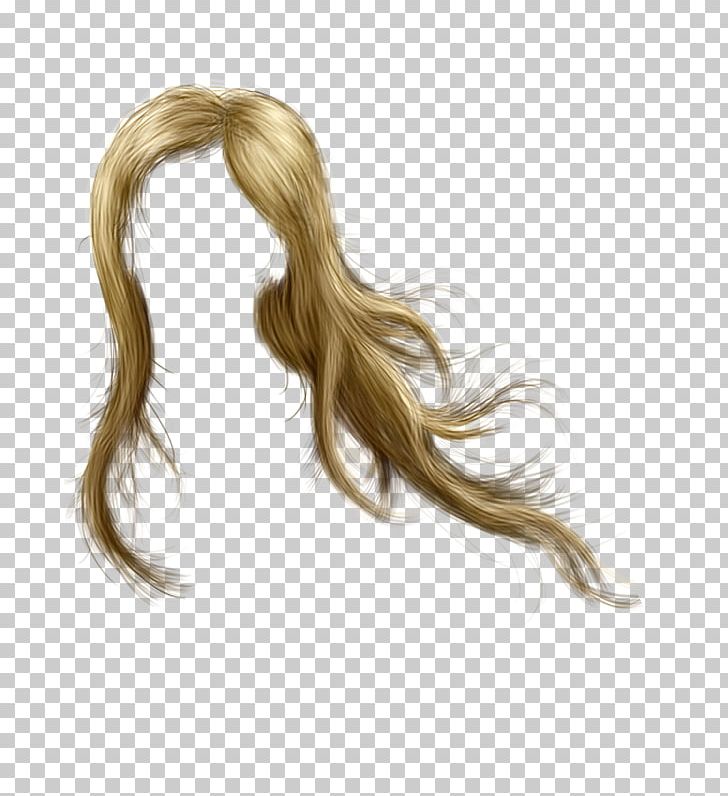 Blond Wig Hair Coloring PNG, Clipart, Blond, Brown Hair, Encapsulated Postscript, Gimp, Hair Free PNG Download