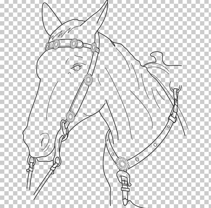 Horse Stallion Drawing Coloring Book PNG, Clipart, Angle, Animal, Animals, Arm, Artwork Free PNG Download