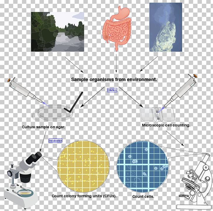 Microbial Ecology Microorganism Microbial Population Biology Biomass PNG, Clipart, Angle, Bacteriology, Biofilm, Biology, Biomass Free PNG Download