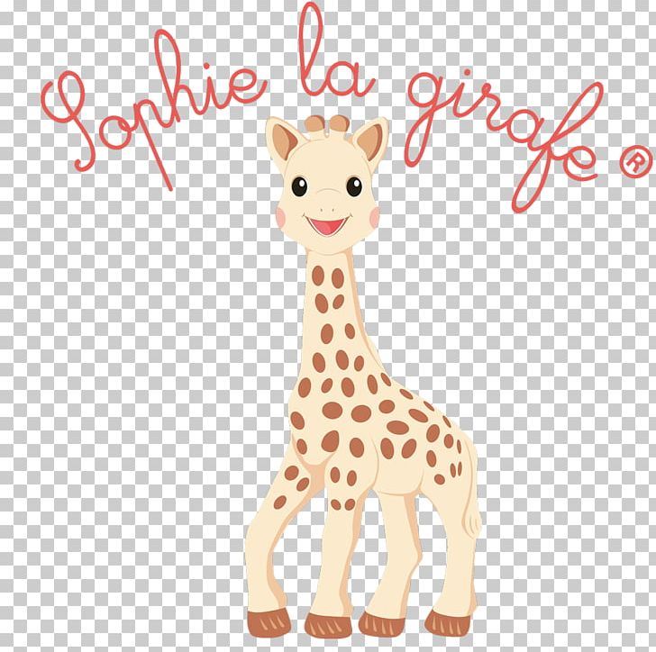 Sophie The Giraffe Infant Teether Teething Child PNG, Clipart, Animal Figure, Baby Transport, Birth, Child, Dressing Table Free PNG Download