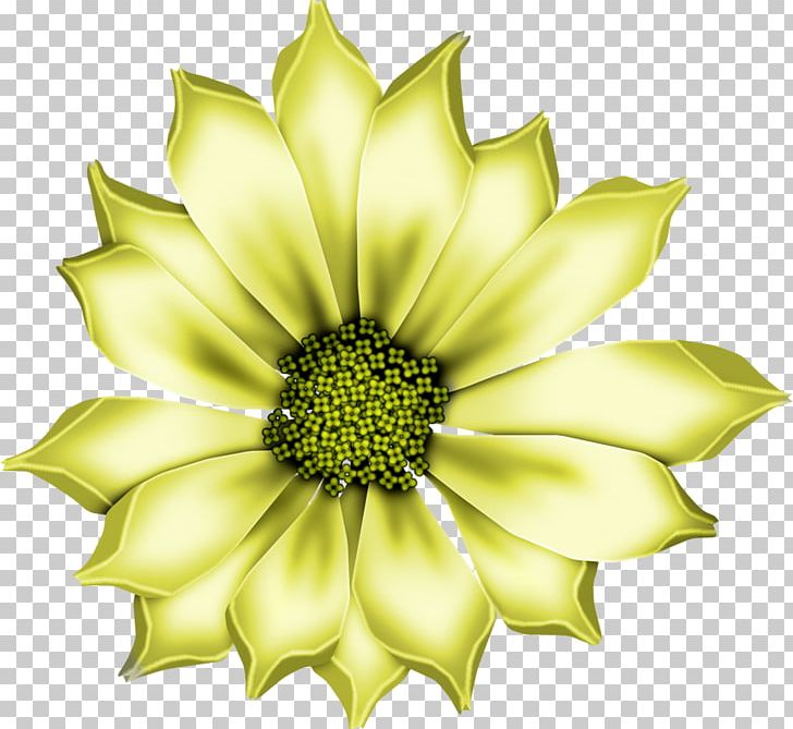 Decorative Borders PNG, Clipart, Art, Chrysanths, Cut Flowers, Daisy Family, Decorative Borders Free PNG Download