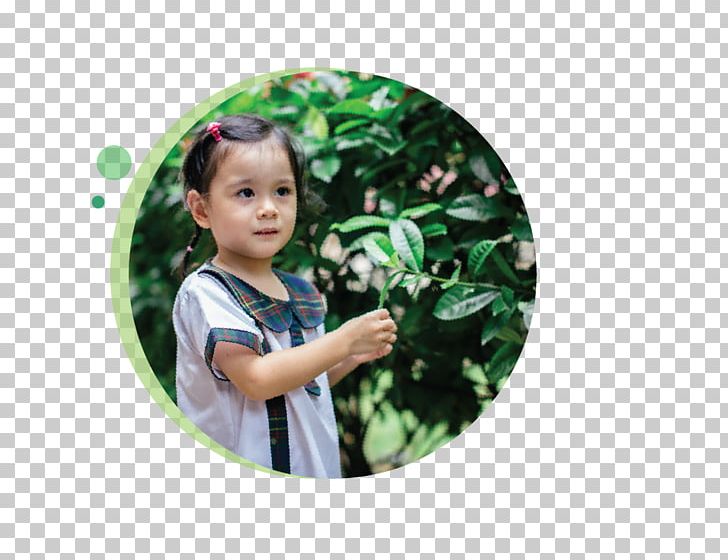 Serangoon Tampines Greenhouse Nursery School Toddler PNG, Clipart, Child, Greenhouse, Nursery School, Others, Play Free PNG Download