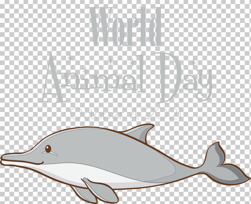 Short-beaked Common Dolphin Porpoises Dolphin Baleen Whales Font PNG, Clipart, Animal Day, Bottlenose Dolphin, Cetaceans, Dolphin, Paint Free PNG Download