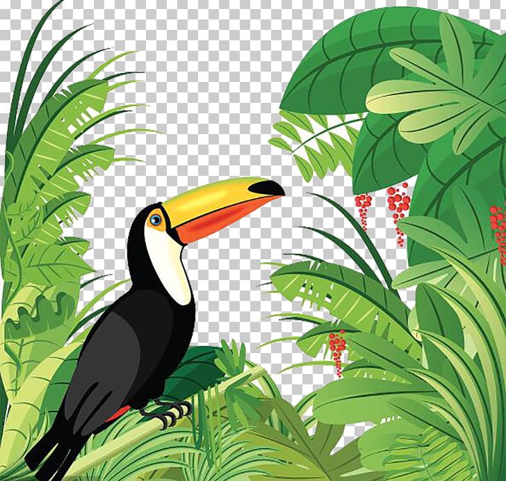 Amazon Rainforest Tropical Forest Bird Tropical Rainforest PNG, Clipart, Animals, Animation, Beak, Bird, Bird Cage Free PNG Download