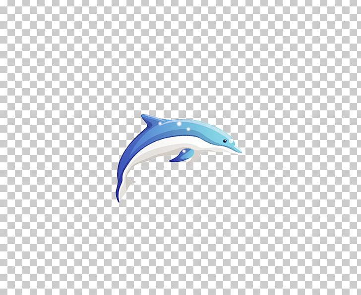 Dolphin Cartoon PNG, Clipart, Animal, Animals, Aqua, Azure, Beak Free PNG Download