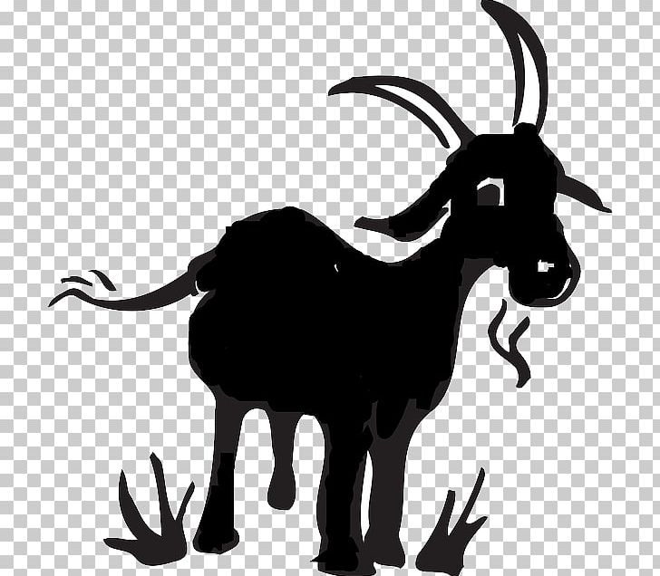 Black Bengal Goat Boer Goat Drawing Cartoon PNG, Clipart, Animal Farm, Black And White, Black Bengal Goat, Boer Goat, Cartoon Free PNG Download