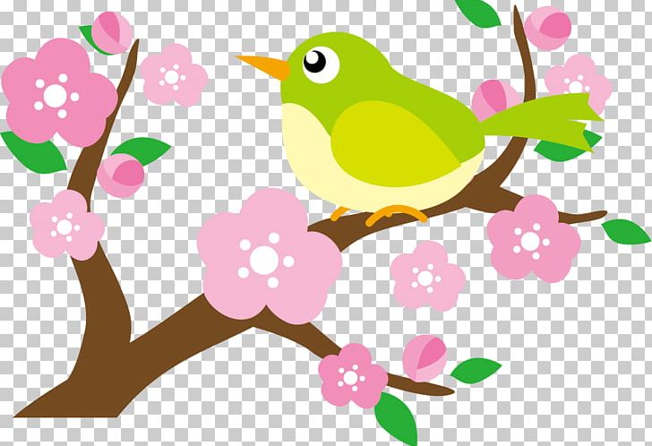 Floral Design Japanese Bush Warbler Flower PNG, Clipart, Art, Artwork, Beak, Bird, Blossom Free PNG Download