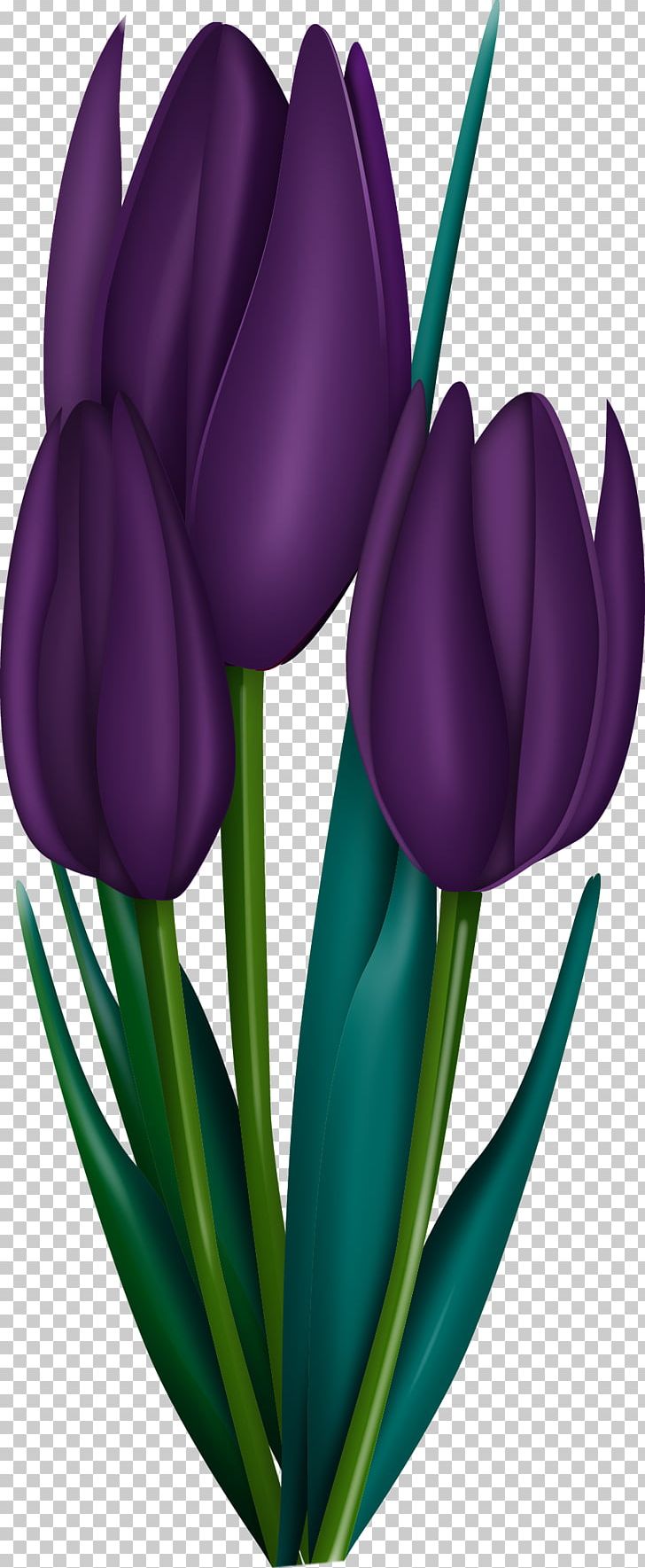 Flower Art Painting Drawing PNG, Clipart, Art, Crocus, Cut Flowers, Decoupage, Desktop Wallpaper Free PNG Download
