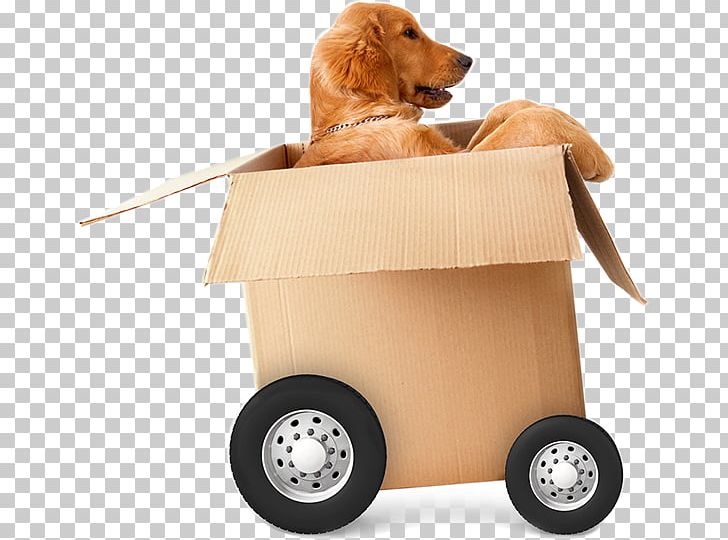 Mover Brothers On The Move Relocation Self Storage Packaging And Labeling PNG, Clipart, Apartment, Brothers, Carnivoran, Companion Dog, Dog Free PNG Download