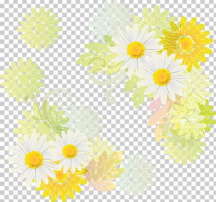 Photography PNG, Clipart, Chamaemelum Nobile, Chamomile, Chrysanths, Cut Flowers, Dahlia Free PNG Download